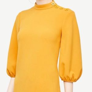 Ann Taylor puff sleeve shift dress